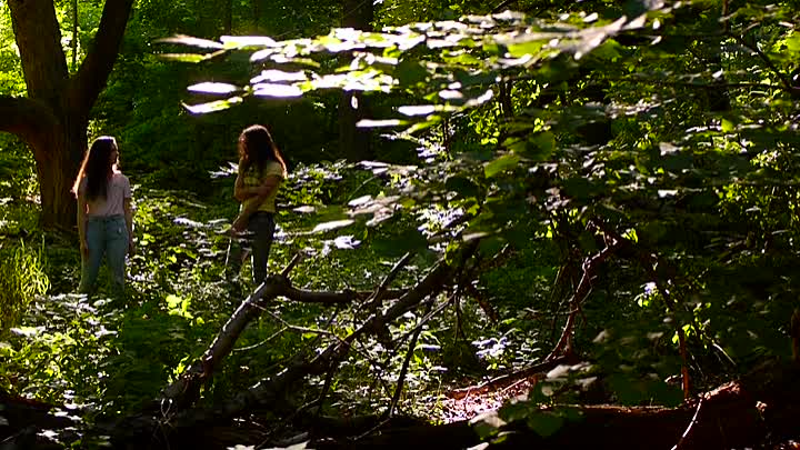 ⁣Mute Date 2019 HDRip XviD AC3-EVO