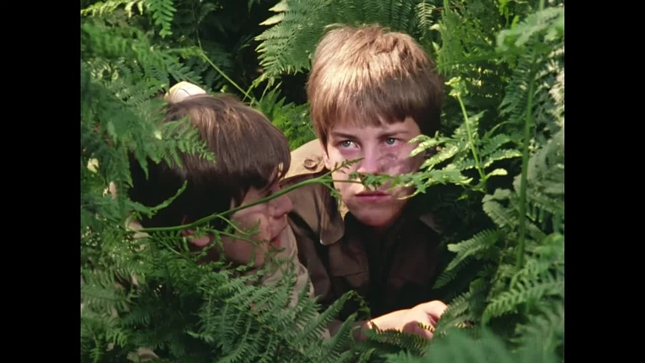 Five Go Adventuring Again S01E03 (1970)
