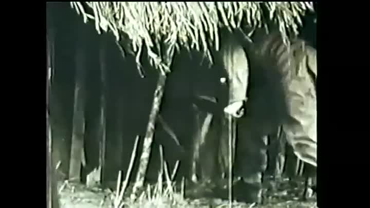 The Africans A Triple Heritage E05 -New Conflicts