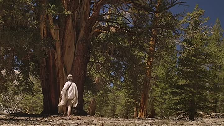 Nathans Kingdom 2019 HDRip XviD AC3-EVO