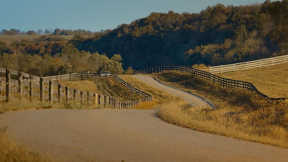 ⁣Not To Forget 2021 720p WEBRip x264 AAC-