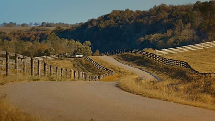 ⁣Not to Forget 2021 HDRip XviD AC3-EVO