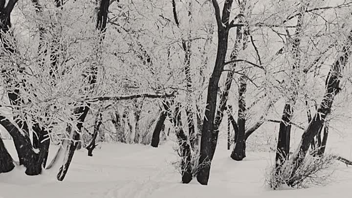 Cici 2022 TURKISH HC ENG SUBS WEBRip x264-VXT