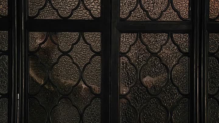 ⁣Shaolin 2011 CHINESE HC ENG SUBS BRRip XviD AC3-EMBER