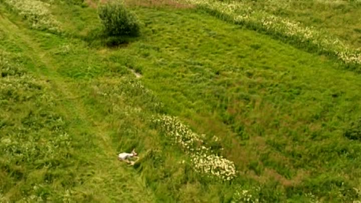 Tadas Blinda Pradzia 2011 CD2 LITHUANIAN HC ENG SUBS PROPER DVDRip XviD-Ltu