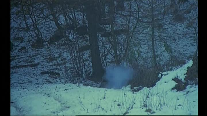 ⁣1981 - Allons z'enfants