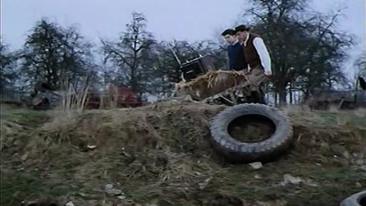 ⁣1972 - Les Malheurs d'Alfred