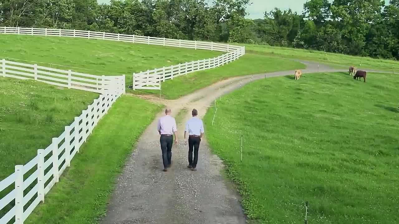 The Low Carb Pyramid Scheme