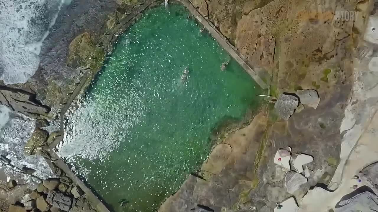 The Narcissist's Playbook -Australian Story