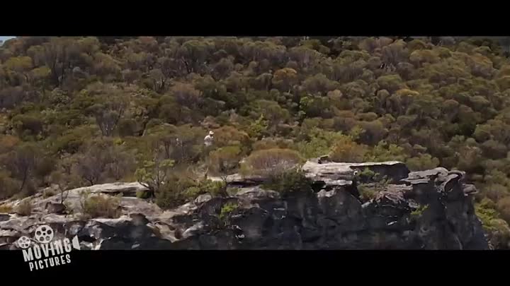 Ladies in Black (2018)