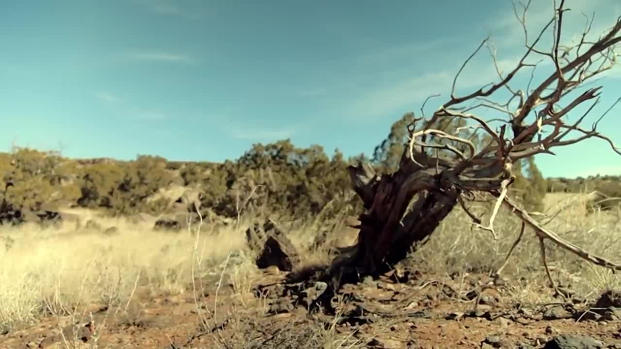 What Drove This Woman To Shoot  Kill 6 People?