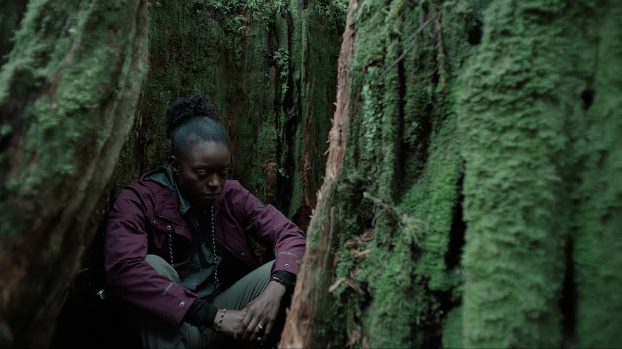 Parallel 2024 1080p WEBRip x264 AAC5 1-