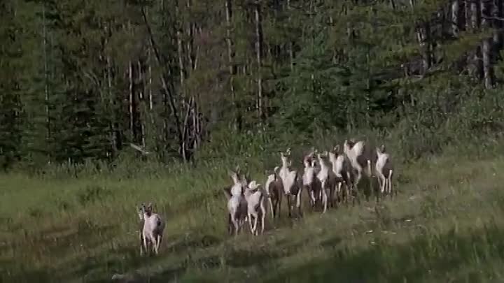 Skipped Parts (2000)