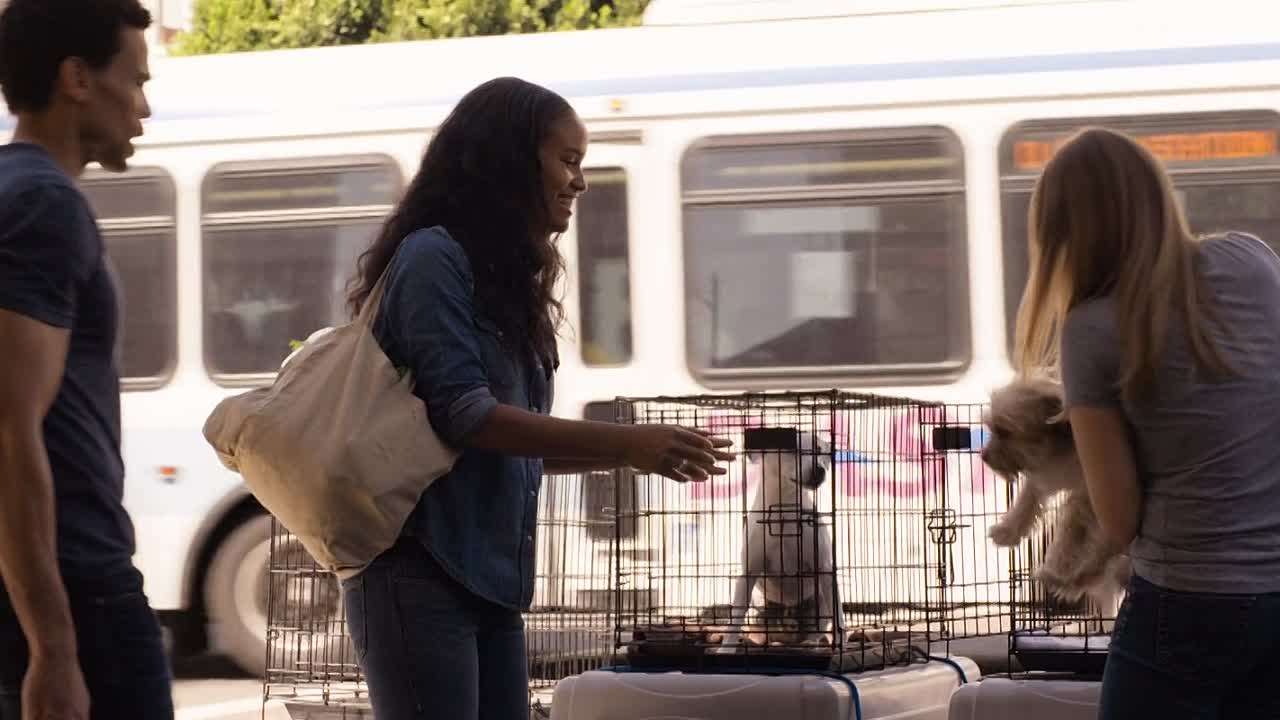 About Last Night 2014 1080p BluRay x264 YIFY