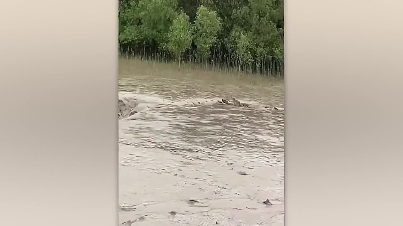 ⁣200 Incredible Things Caught on Camera