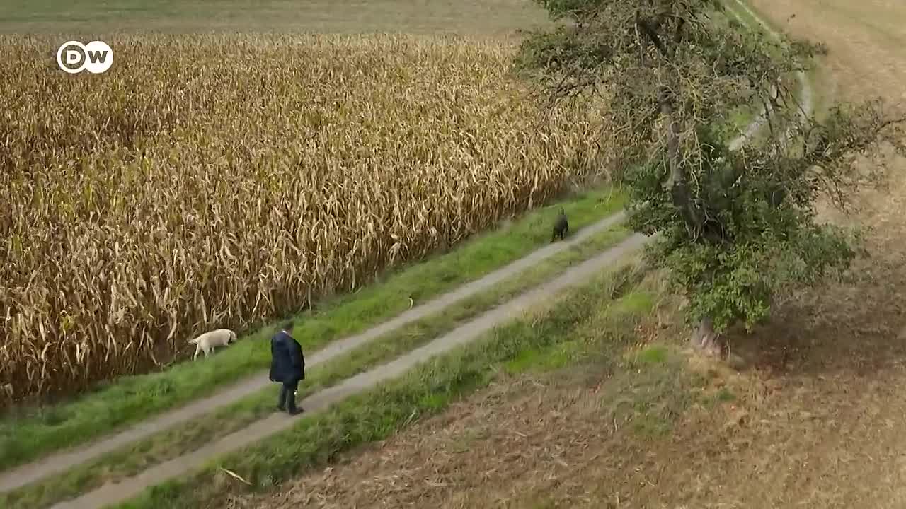 ⁣Mental health and Resilience -The Secrets of Inner Strength