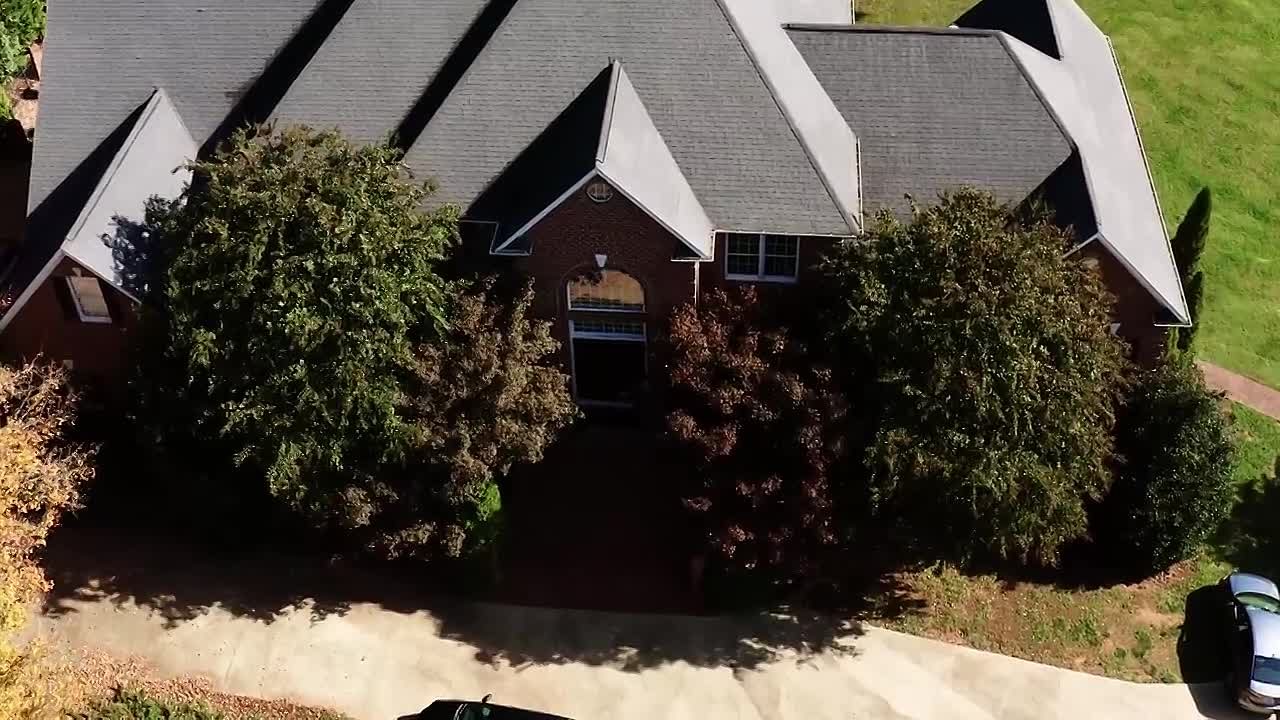 From Food to Freedom (2023)