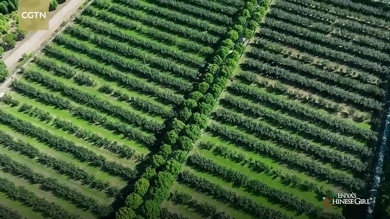 Kenya's 'Chinese girl'