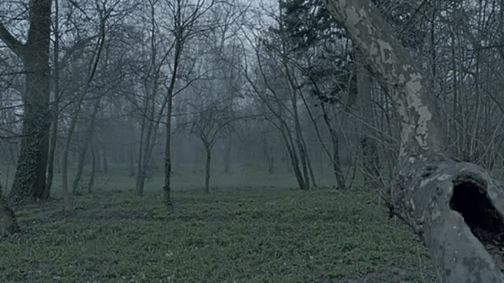 ⁣Queen Marie of Romania 2019 ROMANIAN HC ENG SUBS HDRip XviD AC3-EVO