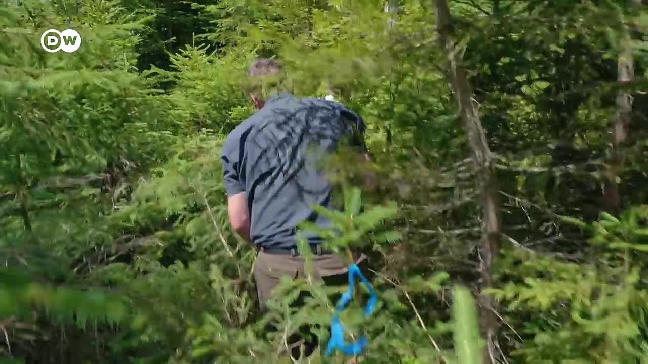 The World's Oldest Virus Research Lab