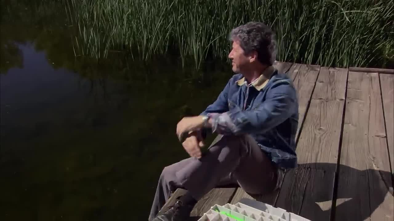 The Deadly Shift -2008