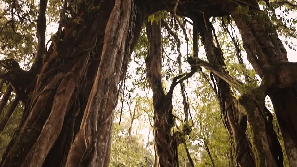 The Big Four 2022 INDONESIAN HC ENG SUBS 720p WEBRip x264 AAC-