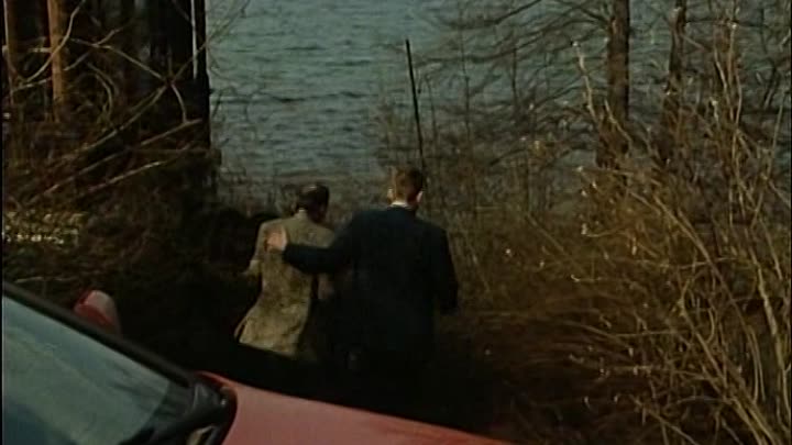 Der Papagei 1992 German DVDRip AC3 XVID