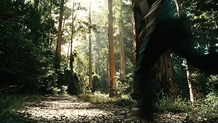 Die drei Fragezeichen Das verfluchte Schloss CD1 German 2009 AC3 DVDRip XviD-KiNOWELT