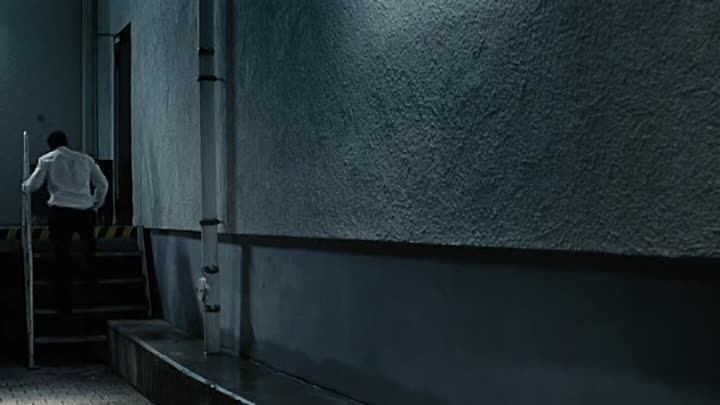 Die Fremde 2010 GERMAN BDrip XviD AC3-SoW