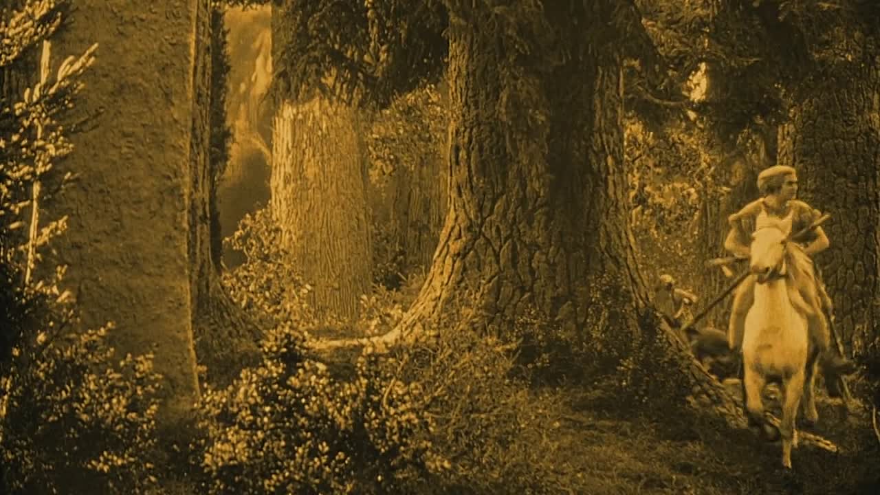 ⁣Die Nibelungen Siegfried 1924 1080p BluRay x264 AAC5 1-[YTS LT]