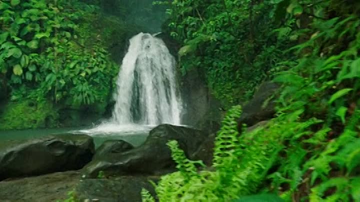 A Minuscule Adventure 2019 HDRip XviD AC3-EVO