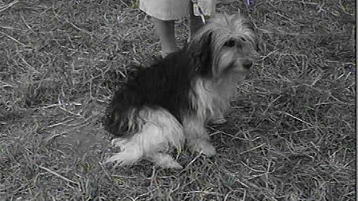 ⁣H R 1958 Der Mann der nicht nein sagen konnte