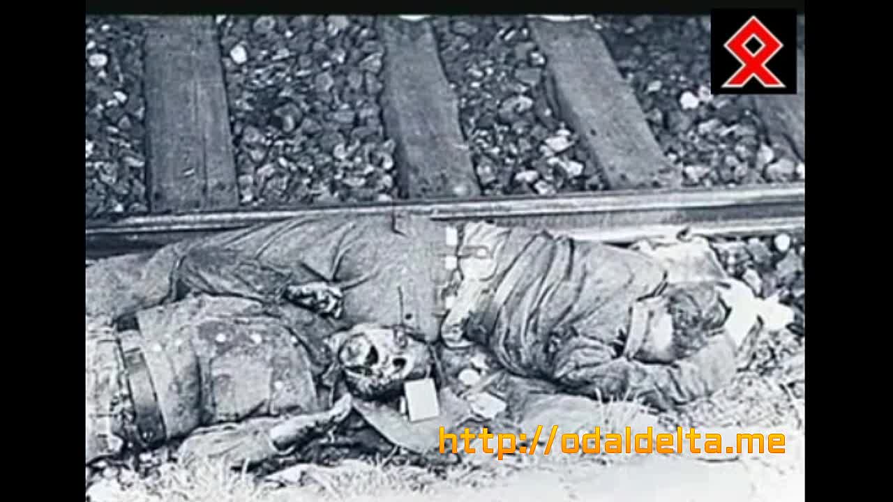 ⁣a tribute to the fallen European Soldiers_1