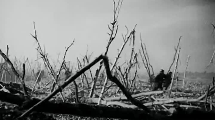 Stosstrupp19171933_1