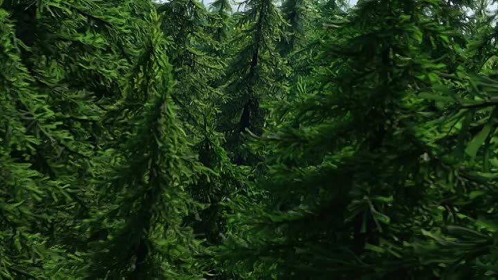 ⁣Zog and the Flying Doctors 2021 HDRip XviD AC3-EVO