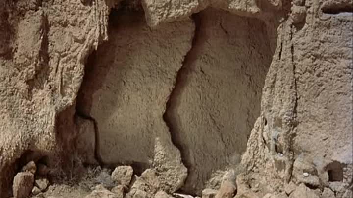 Ali Baba Et Les 40 Voleurs - 1954 -French Dvdrip XviD