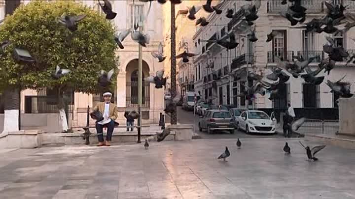 ADN 2020 FRENCH BDRip XviD-EXTREME