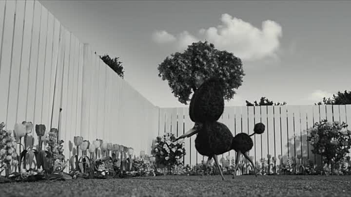 Frankenweenie 2012 DVDRip XviD-COCAIN
