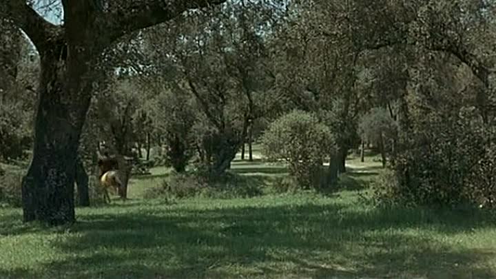 ⁣L aigle de Florence 1963 FRENCH DVDRip x264