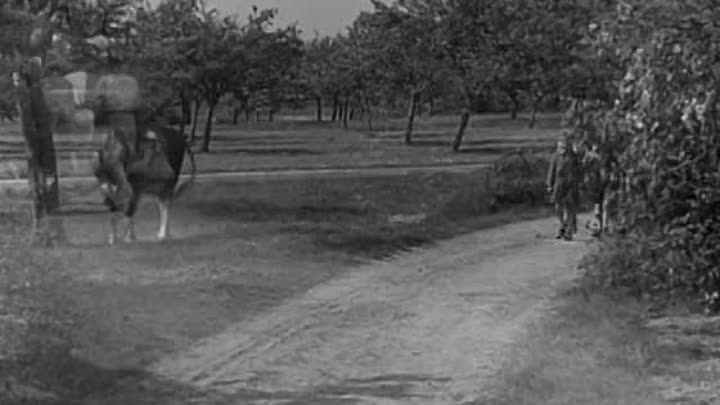 Bourvil - 1952 - Le Trou Normand French Dvdrip XviD