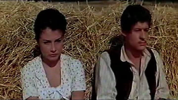 Bourvil - 1959 - La Jument Verte French Vhsrip DivX