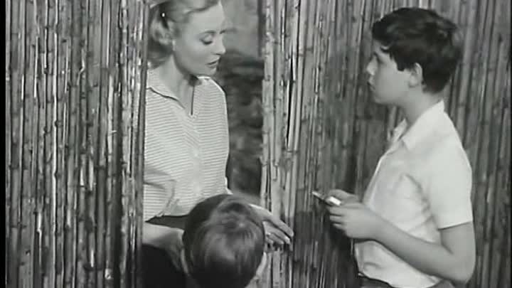 Bourvil - 1960 - Fortunat French Tvrip DivX