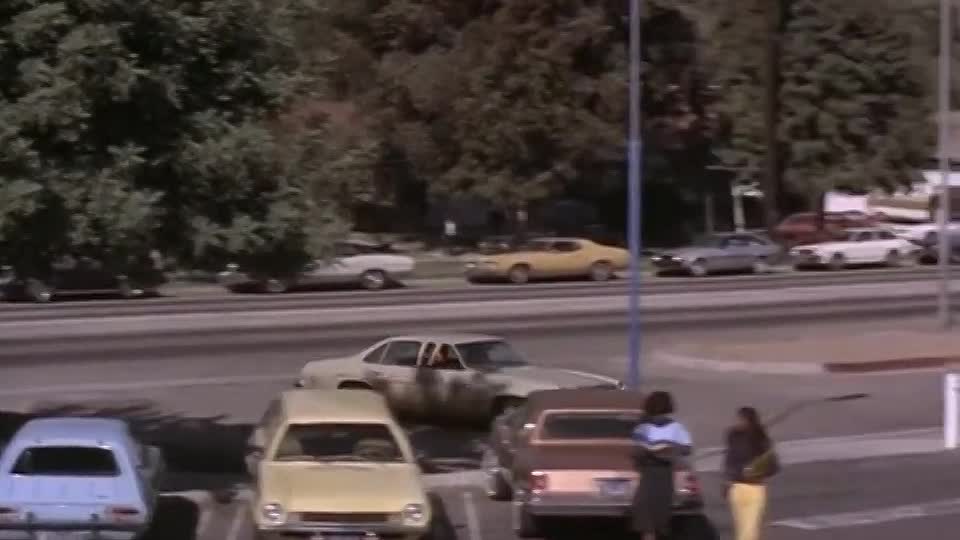 The White Shadow (1980) S03E04-06