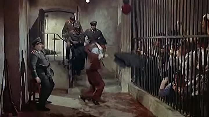 ⁣Brigitte Bardot - 1955 - Doctor At Sea - Rendez-Vous a Rio WEBRip x264-DanielBernard