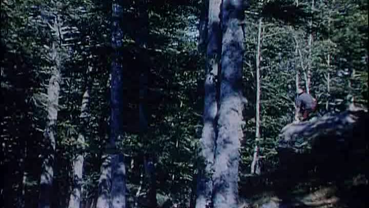 Brigitte Bardot - 1955 - Le Fils De Caroline Cherie French DVDRip DivX