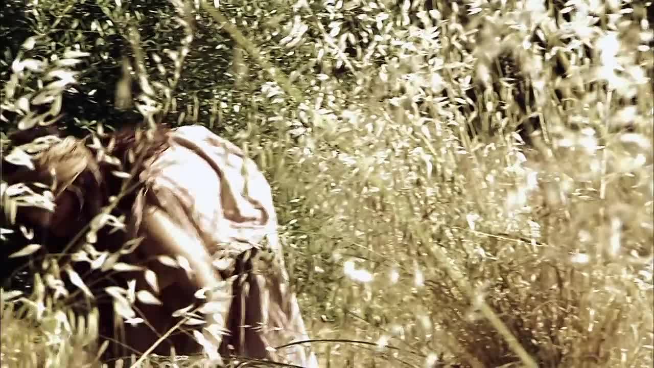 The Legend of Jason and the Argonauts -In Search of the Golden Fleece