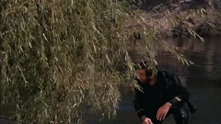 Brigitte Bardot - 1971 - Boulevard Du Rhum French DVDRip XviD