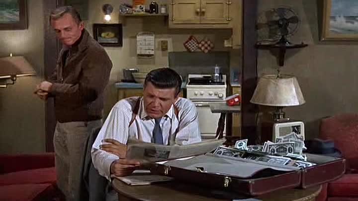 ⁣1965 - That Darn Cat