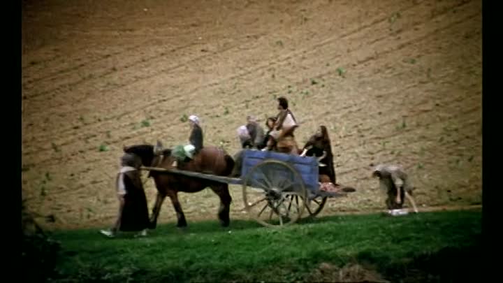 Elle Voit Des Nains Partout French Dvdrip XviD