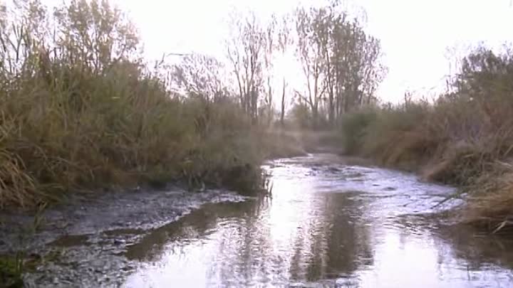 En Plein Coeur FRENCH DVDRiP XViD-STS